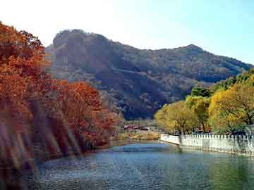 新澳天天开奖资料大全旅游团，上海自驾游